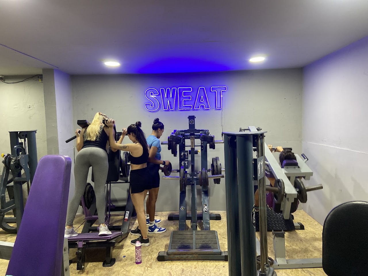 Entrenando en New Body Gym