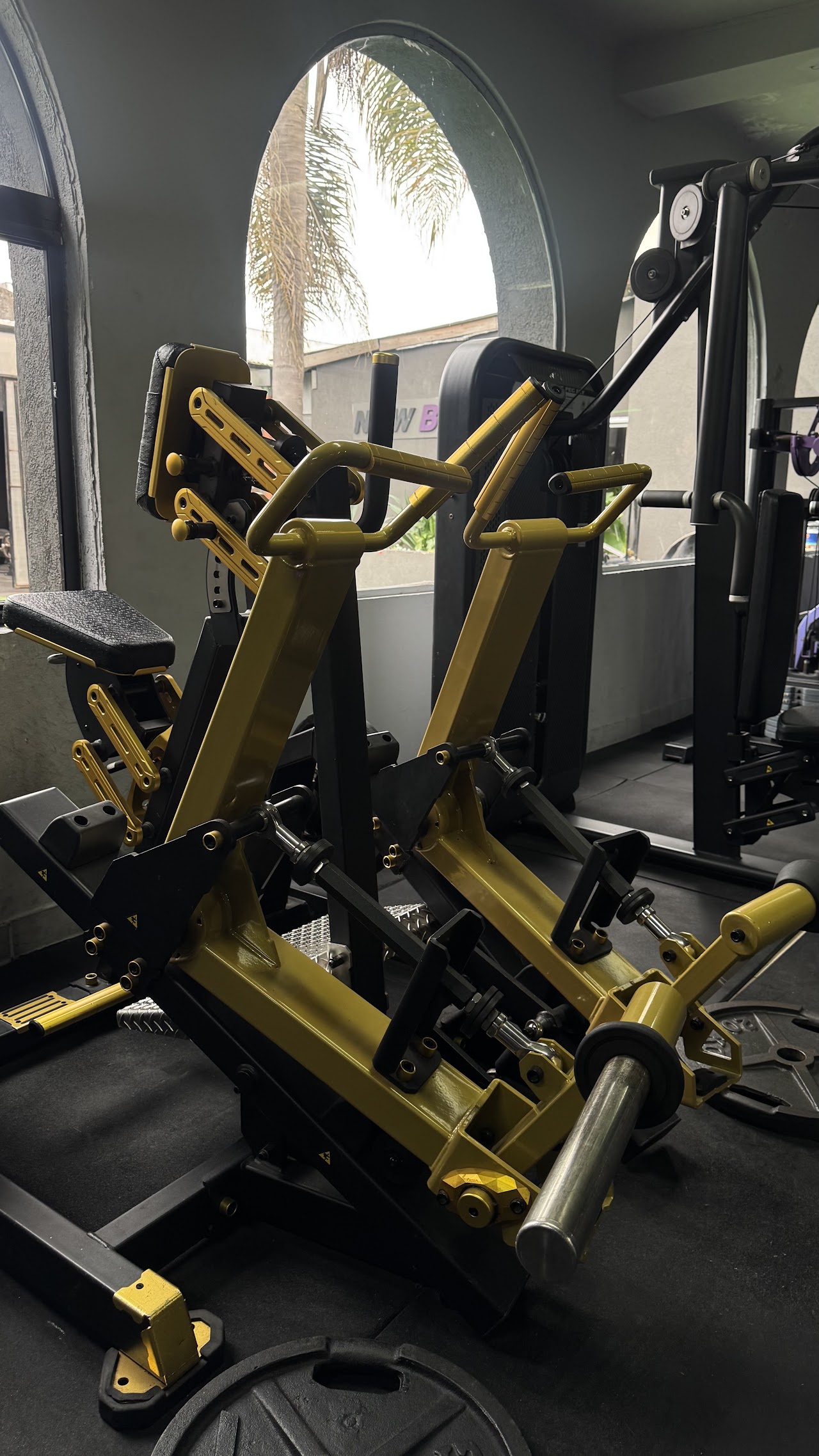 New Body Gym - máquinas